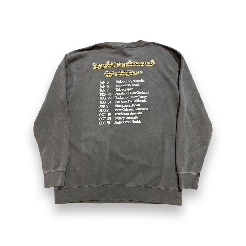 Load image into Gallery viewer, April Skateboards - World Tour Crewneck
